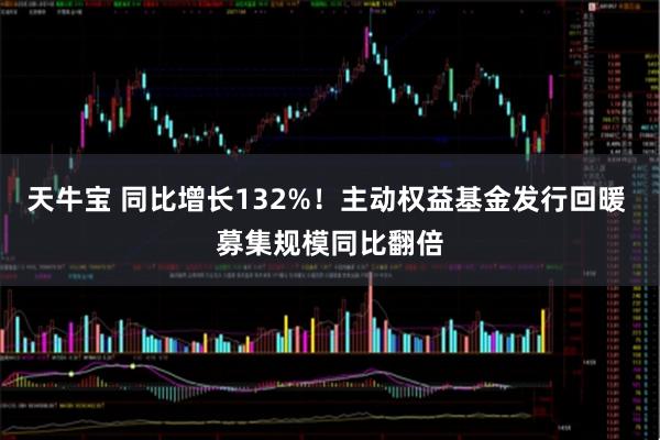 天牛宝 同比增长132%！主动权益基金发行回暖 募集规模同比翻倍