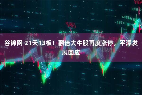 谷锦网 21天13板！翻倍大牛股再度涨停，平潭发展回应