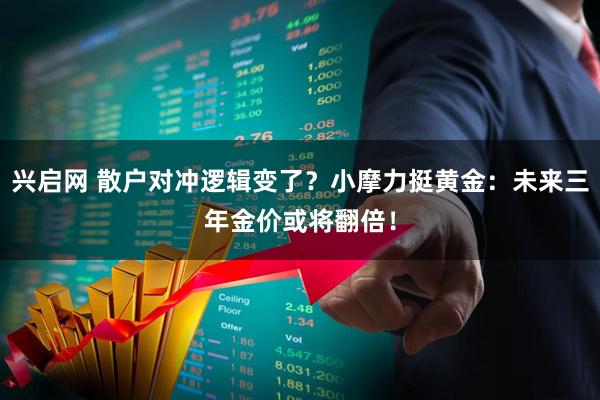 兴启网 散户对冲逻辑变了？小摩力挺黄金：未来三年金价或将翻倍！